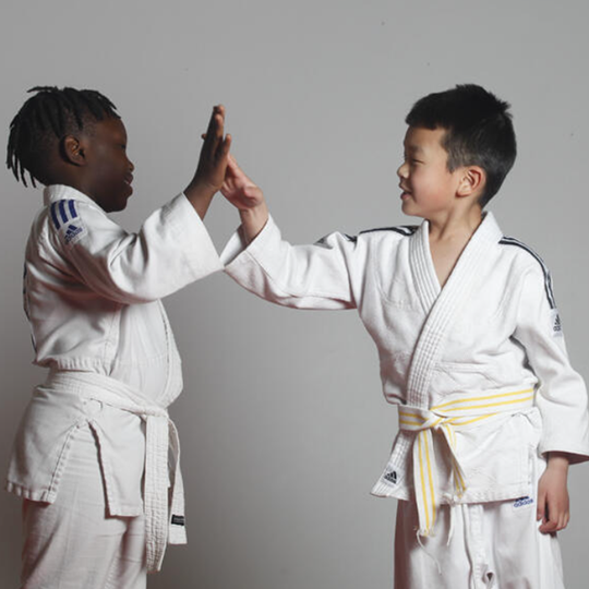 Lutte contre la discrimination France Judo