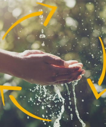 Environnement- Kyocera Document Solutions France